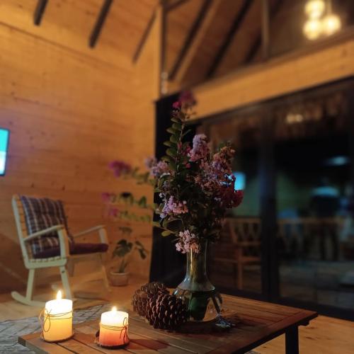 Balayı için tercihiniz