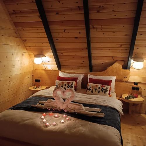 Balayı için tercihiniz