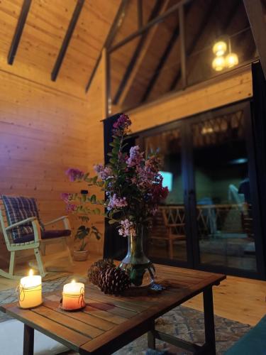 Gürgen bungalov oda